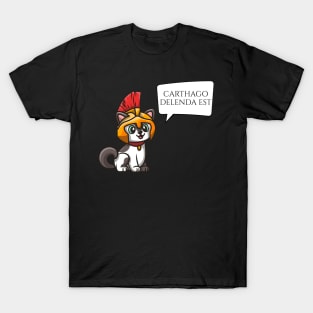 Carthago Delenda Est - Ancient Roman Legionary Cat - Latin T-Shirt